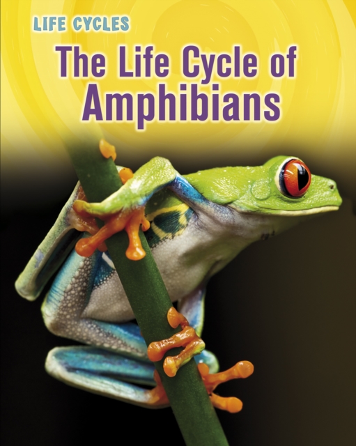 The Life Cycle of Amphibians, PDF eBook