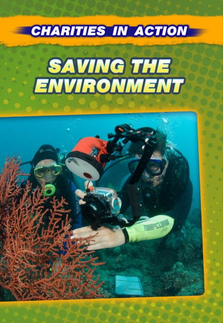 Saving the Environment, Paperback Book
