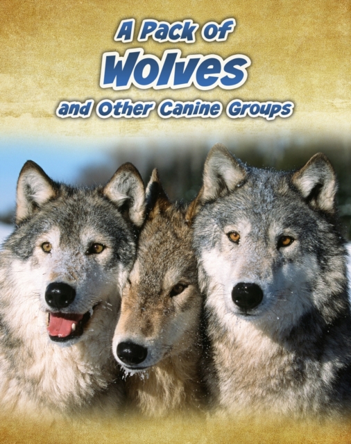 A Pack of Wolves : and Other Canine Groups, Hardback Book