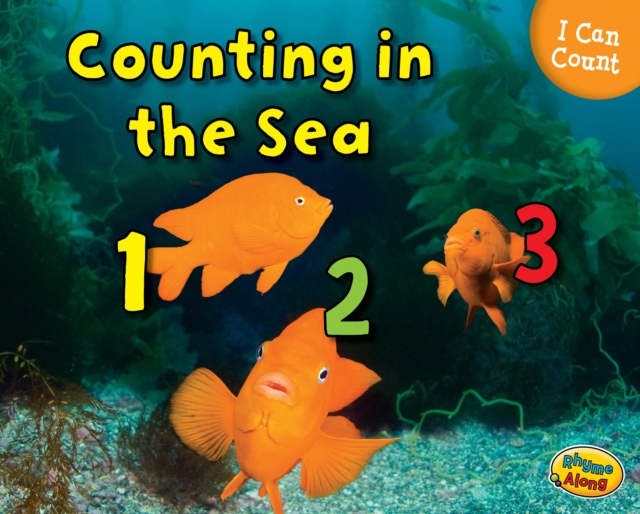 Counting in the Sea, Hardback Book