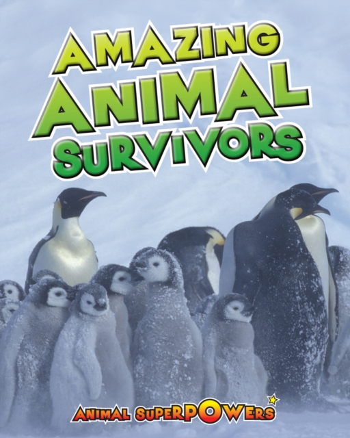 Amazing Animal Survivors, Paperback / softback Book