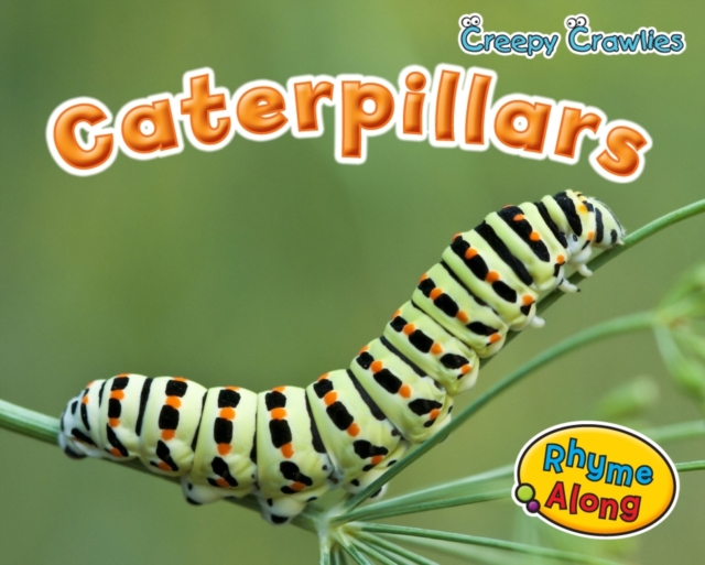 Caterpillars, Hardback Book