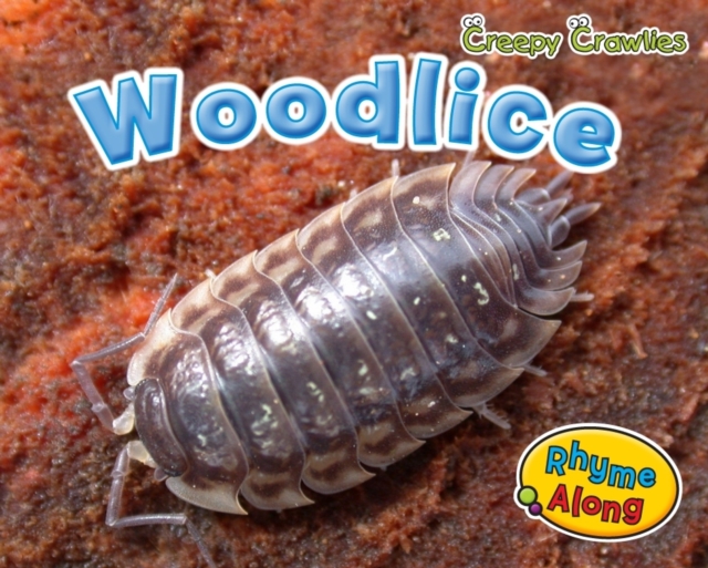 Woodlice, Paperback Book