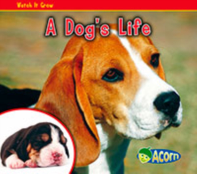 A Dog's Life, Paperback Book