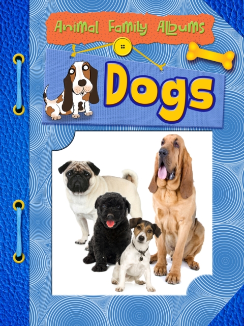Dogs, Hardback Book