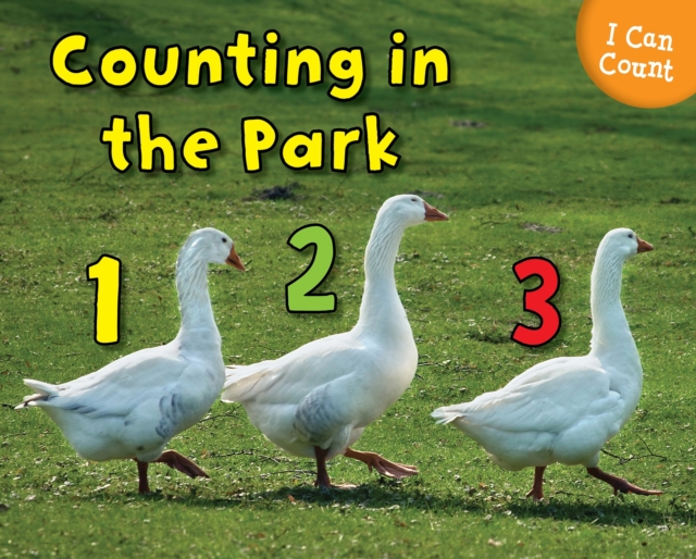 Counting at the Park, PDF eBook