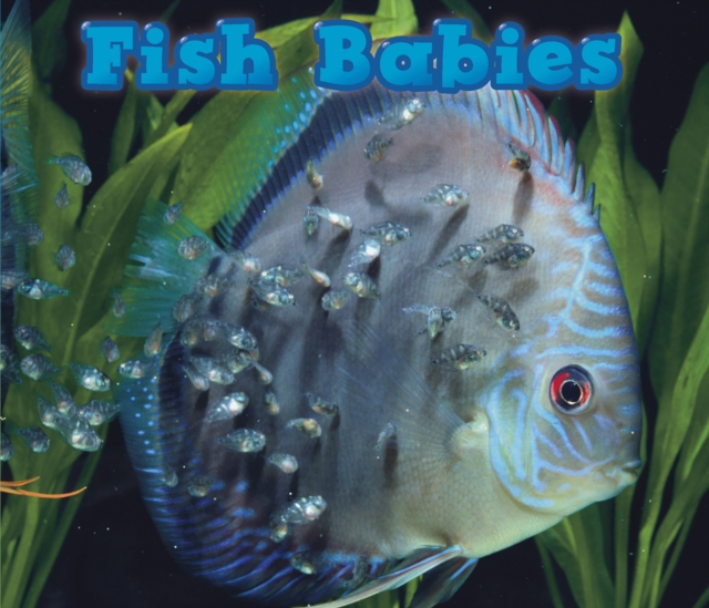 Fish Babies, Paperback / softback Book