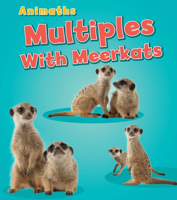 Multiples with Meerkats, Hardback Book