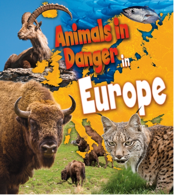 Animals in Danger in Europe, Hardback Book