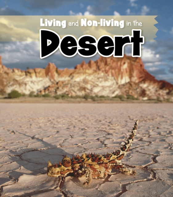 Living and Non-living in the Desert, Paperback / softback Book