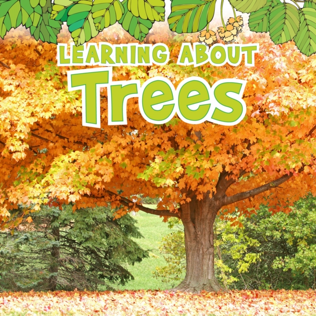 Learning About Trees, PDF eBook