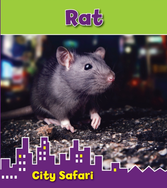 Rat : City Safari, Hardback Book