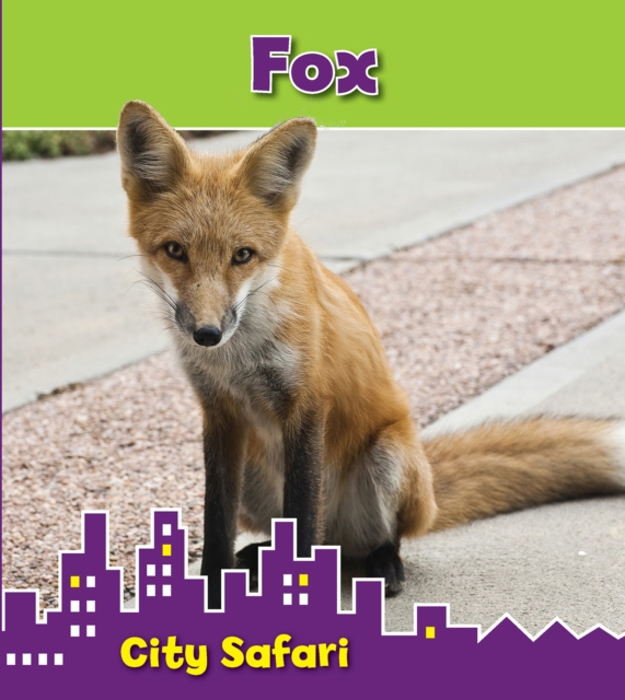 Fox : City Safari, Hardback Book