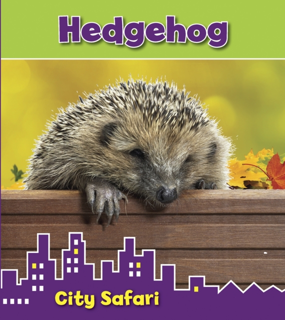 Hedgehog : City Safari, Hardback Book