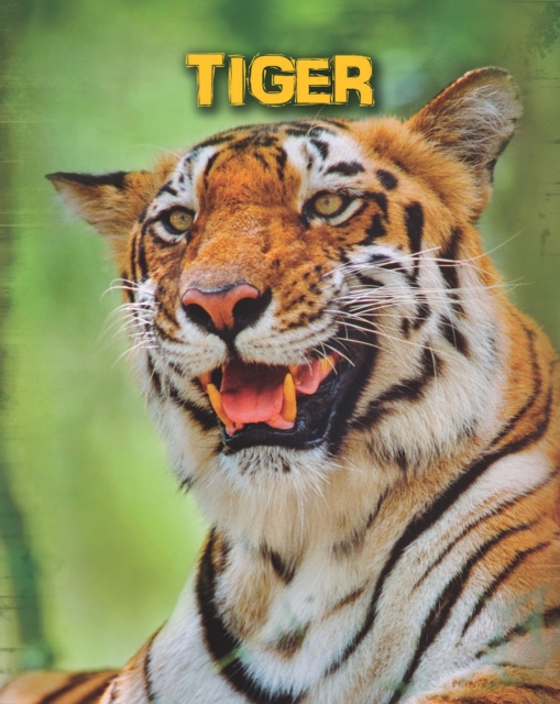 Tigers, PDF eBook