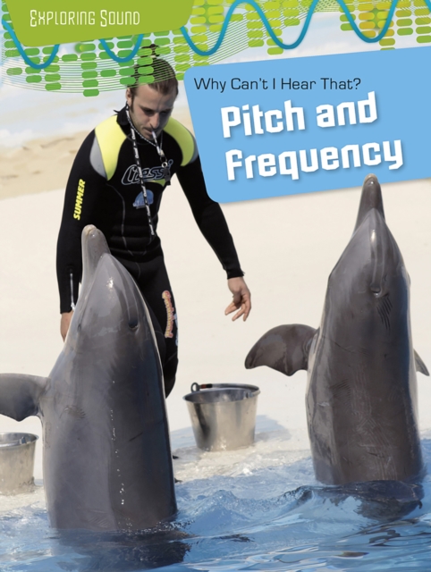 Why Can't I Hear That?: Pitch and Frequency, PDF eBook