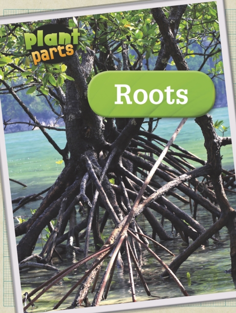 Roots, Paperback / softback Book