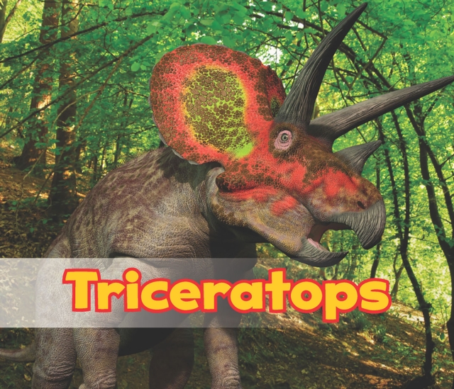 Triceratops, Paperback / softback Book