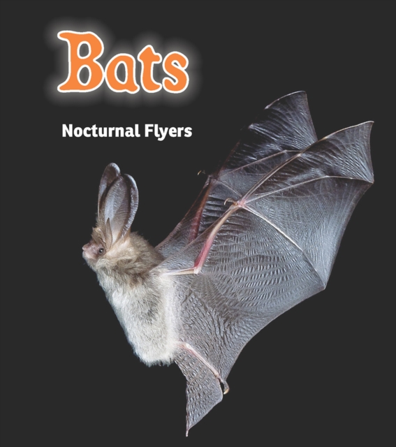 Bats : Nocturnal Flyers, Hardback Book