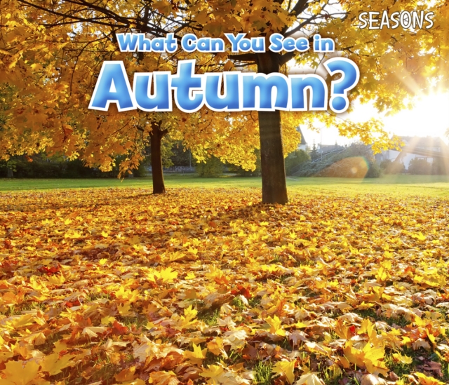 What Can You See In Autumn?, Hardback Book