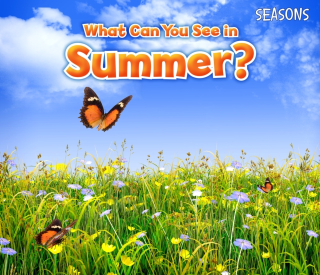 What Can You See in Summer?, Hardback Book