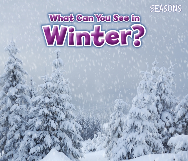 What Can You See In Winter?, Hardback Book
