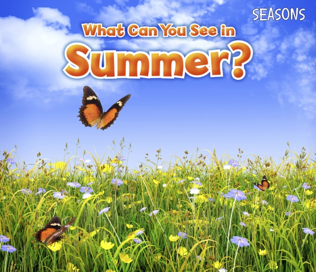What Can You See In Summer?, PDF eBook