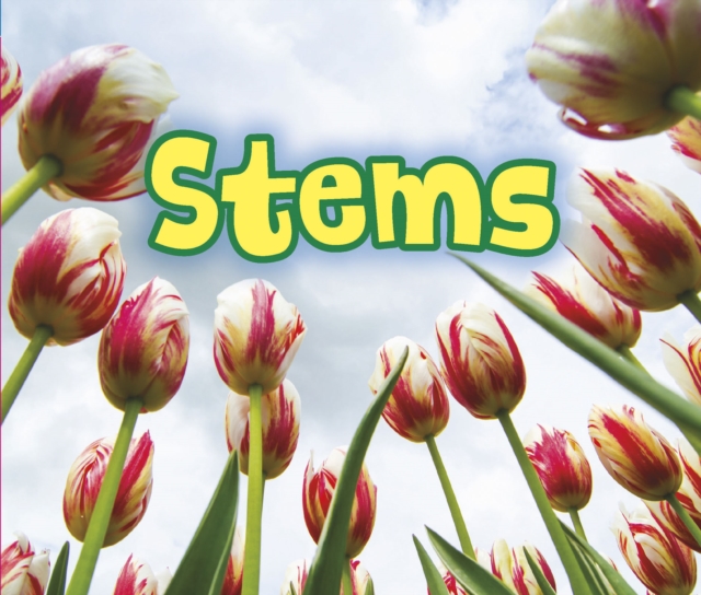 All About Stems, Hardback Book