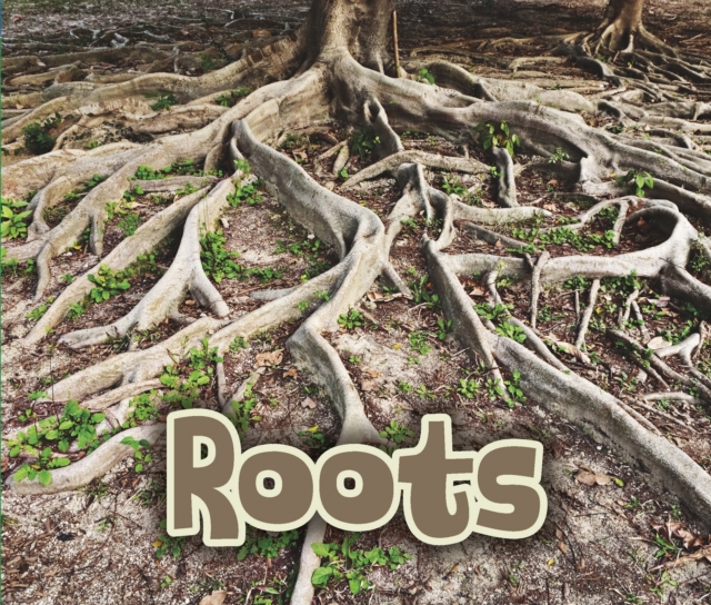 All About Roots, PDF eBook