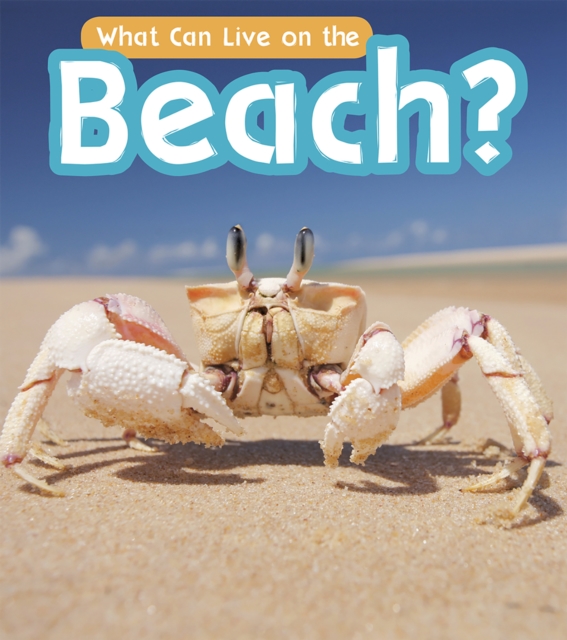 What Can Live at the Beach?, PDF eBook