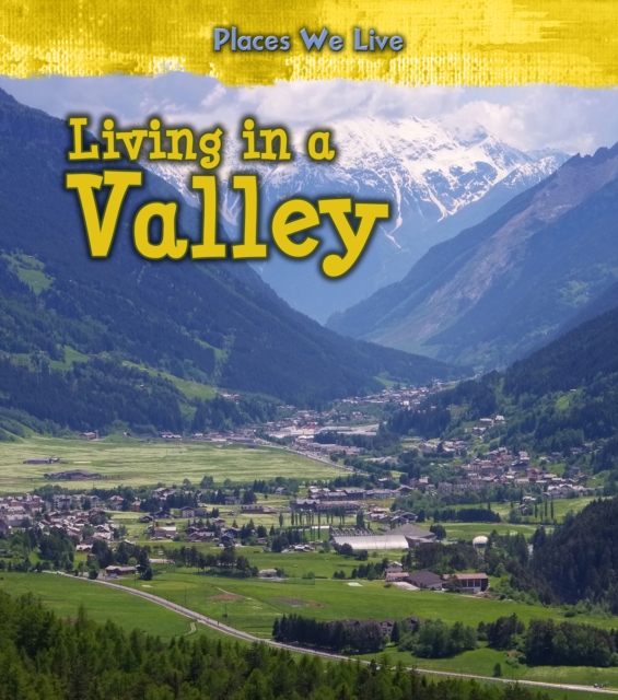 Living in a Valley, Paperback / softback Book