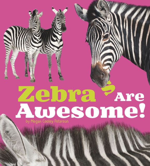 Zebras Are Awesome!, Electronic book text Book