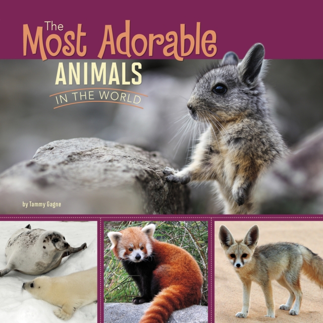 The Most Adorable Animals in the World, Paperback / softback Book