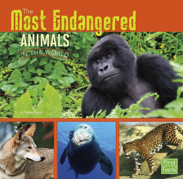 The Most Endangered Animals in the World, PDF eBook