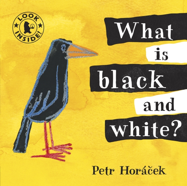 What Is Black and White?, Board book Book