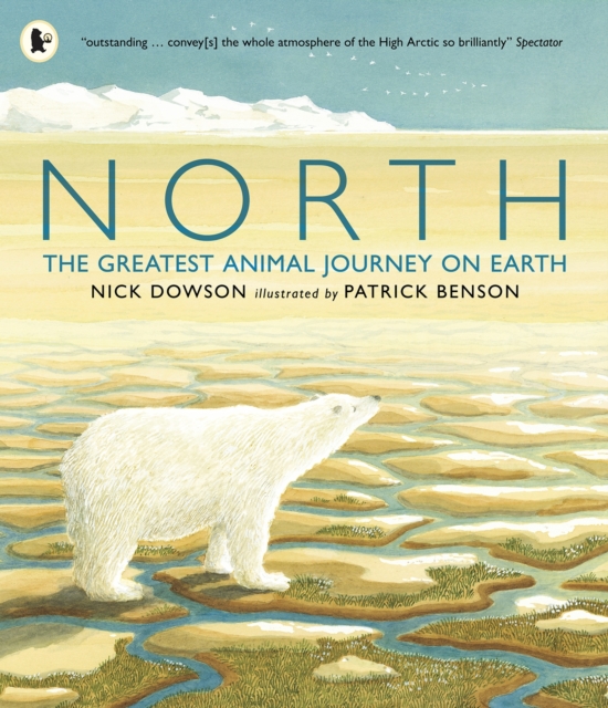 North : The Greatest Animal Journey on Earth, Paperback / softback Book