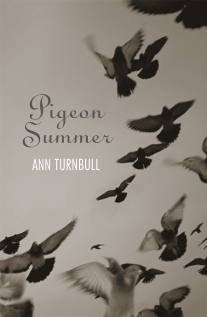 Pigeon Summer, PDF eBook