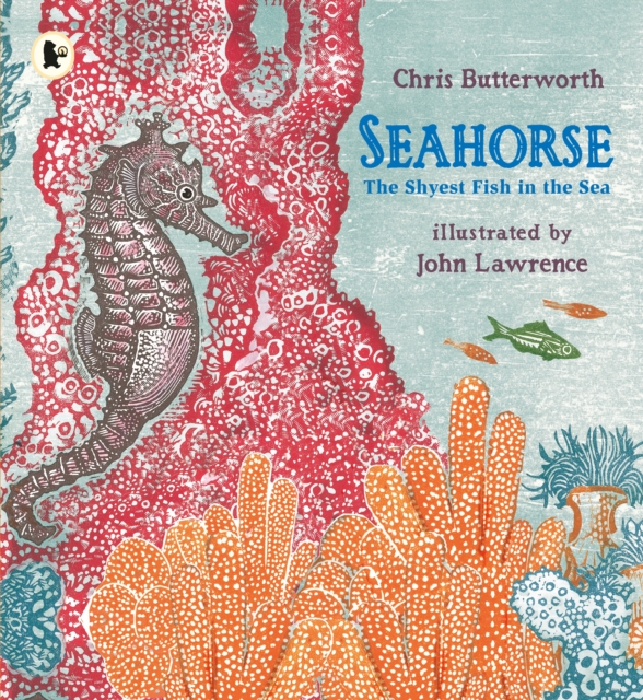 Seahorse: The Shyest Fish in the Sea, Paperback / softback Book