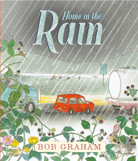 Home in the Rain, Hardback Book