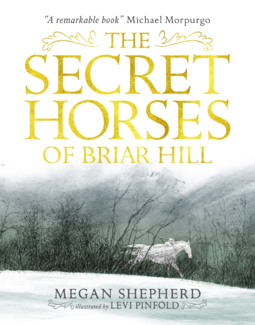 The Secret Horses of Briar Hill, Paperback / softback Book