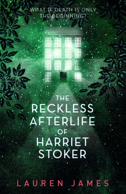 The Reckless Afterlife of Harriet Stoker, PDF eBook