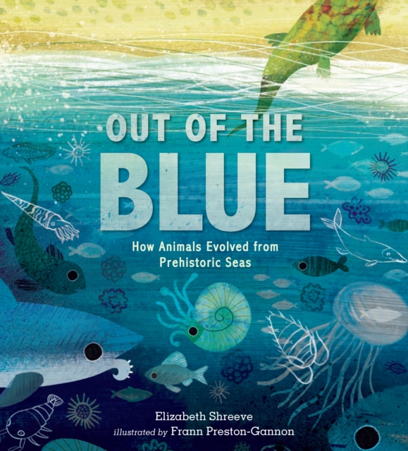 Out of the Blue : How Animals Evolved from Prehistoric Seas, Hardback Book