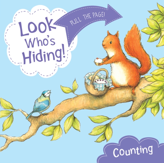 Look Who's Hiding: Counting, Board book Book