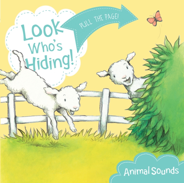 Look Who's Hiding: Animal Sounds, Board book Book