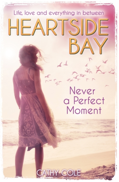 Never A Perfect Moment, Paperback Book