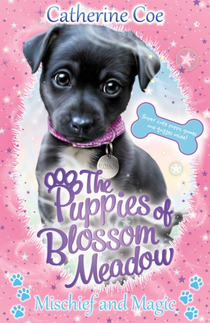 Mischief and Magic (Puppies of Blossom Meadow #2), Paperback / softback Book
