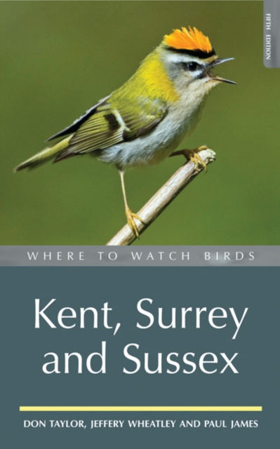 Where to Watch Birds in Kent, Surrey and Sussex, Paperback Book
