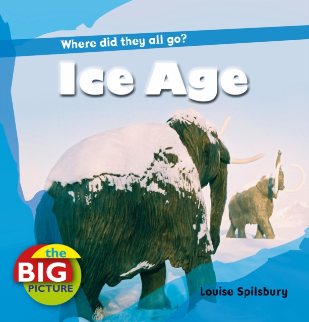 Ice Age, Paperback / softback Book