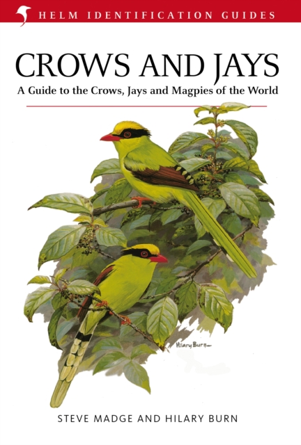 Crows and Jays, EPUB eBook