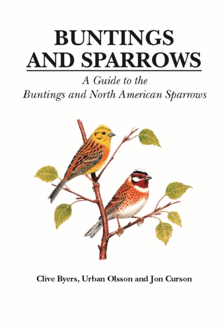 Buntings and Sparrows : A Guide to the Buntings and North American Sparrows, PDF eBook